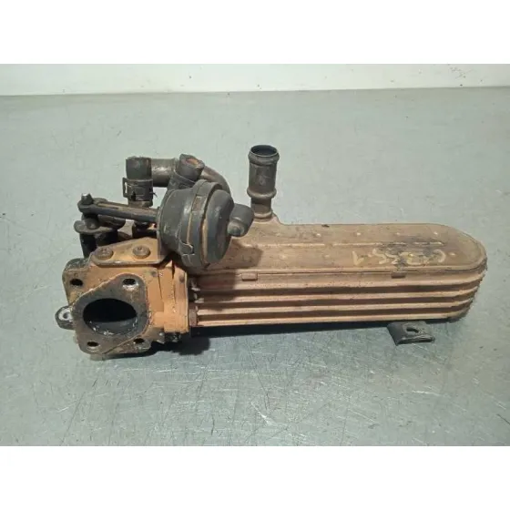 Enfriador Egr para Volkswagen Golf V Berlina (1K1)