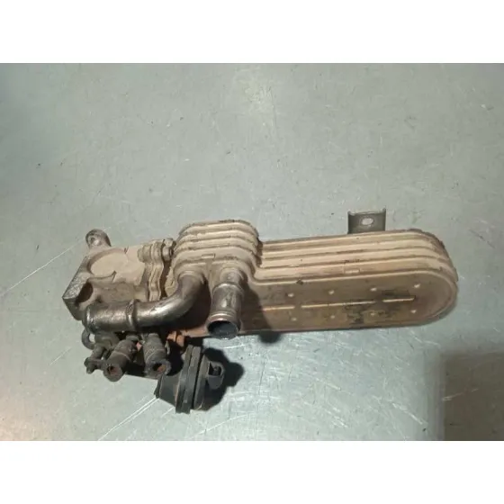 Enfriador Egr para Volkswagen Golf V Berlina (1K1)