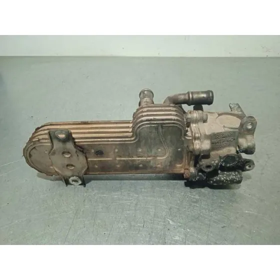 Enfriador Egr para Volkswagen Golf V Berlina (1K1)