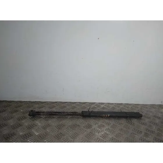 Amortiguadores Maletero / Porton para Ford Focus C-Max (Cap)