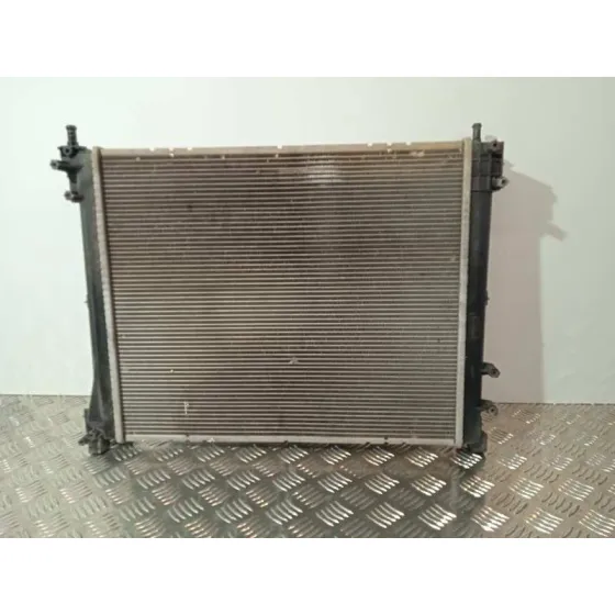 Radiador Agua para Lancia Ypsilon (402)