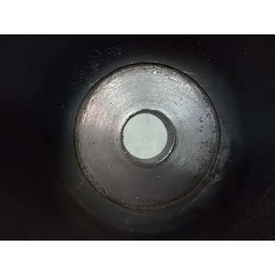 Polea Ciguenal para Tata Safari