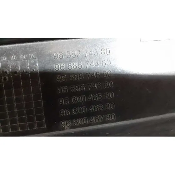 Panel Frontal para Citroën C4 Picasso
