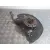 Mangueta Delantera Izquierda para Audi Q7 (4L)