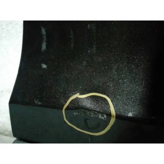 Puerta Trasera Izquierda para Audi Q7 (4L)