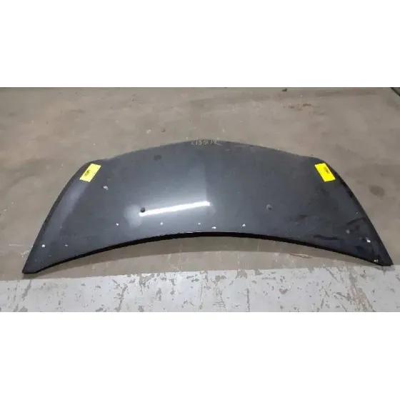 Capot para Renault Clio Iii