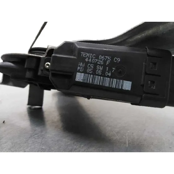 Elevalunas Delantero Izquierdo para Renault Scenic Ii