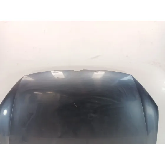 Capot para Volkswagen Passat Lim. (362)
