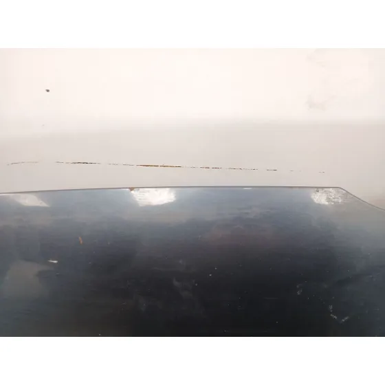 Capot para Volkswagen Passat Lim. (362)