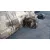 Caja Cambios para Bmw X3 (E83)