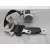Cinturon Seguridad Trasero Derecho para Lexus Ct