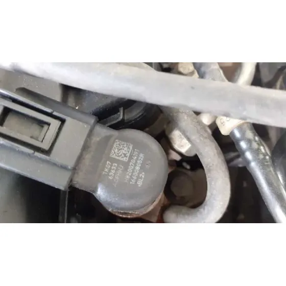 Despiece Motor para Renault Scenic Iii