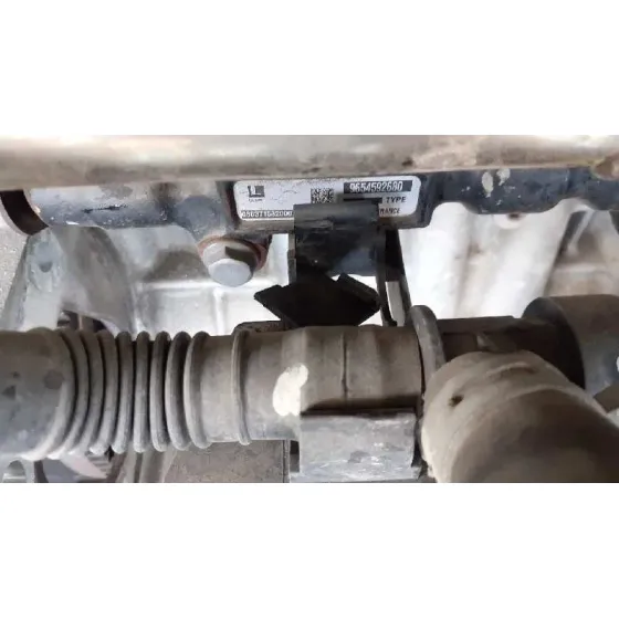 Motor Completo para Peugeot 207