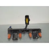 Rampa Inyectora para Peugeot 206 Berlina