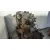 Despiece Motor para Seat Leon (1P1)