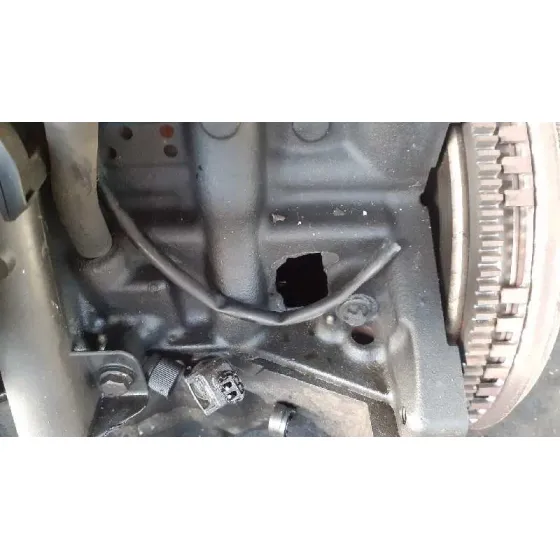 Despiece Motor para Renault Grand Scenic