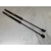 Amortiguadores Maletero / Porton para Ford Fiesta (Ccn)