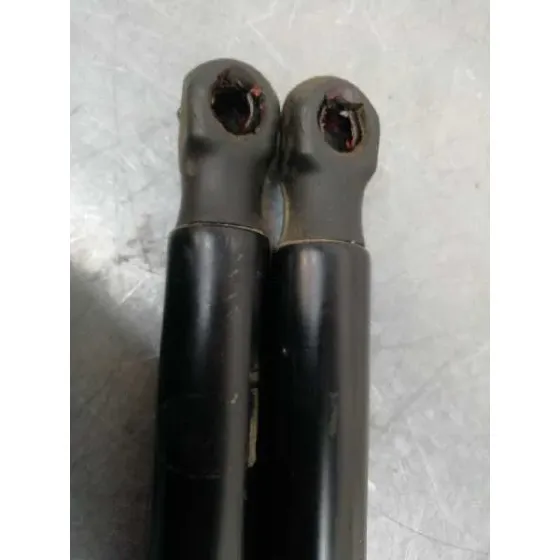 Amortiguadores Maletero / Porton para Ford Fiesta (Ccn)