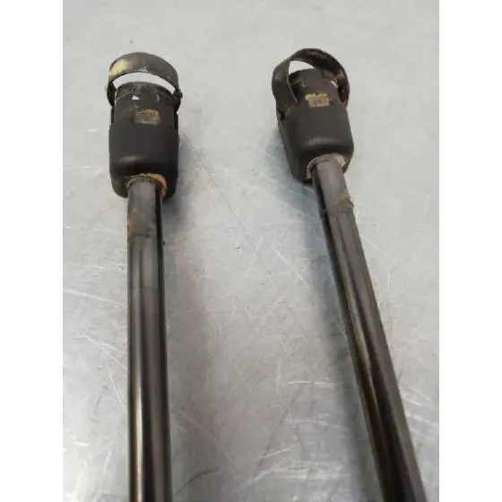 Amortiguadores Maletero / Porton para Ford Fiesta (Ccn)