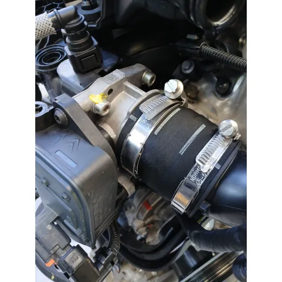 Motor Completo para Peugeot 3008