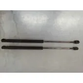 Amortiguadores Maletero / Porton para Renault Megane Ii Coupe/Cabrio