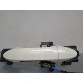 Maneta Exterior Delantera Derecha para Ford Ecosport