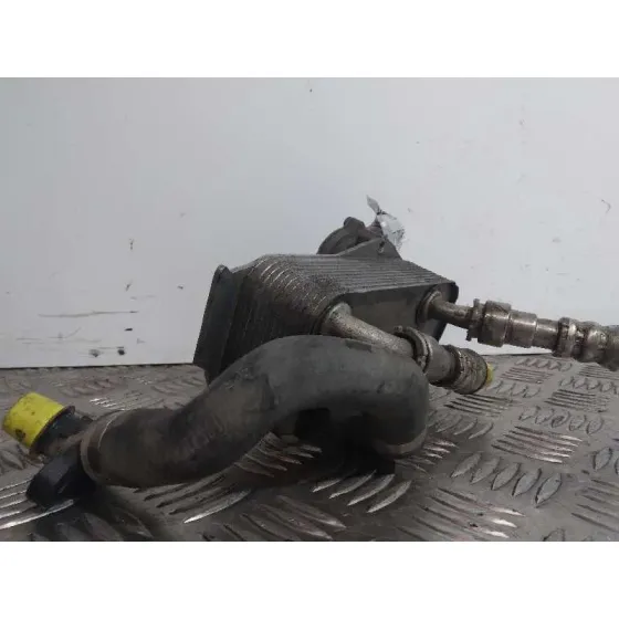 Enfriador Aceite Motor para Bmw Serie 3 Berlina (E90)