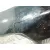 Molduras Delanteras para Yamaha Tmax