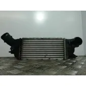 Intercooler para Peugeot 407