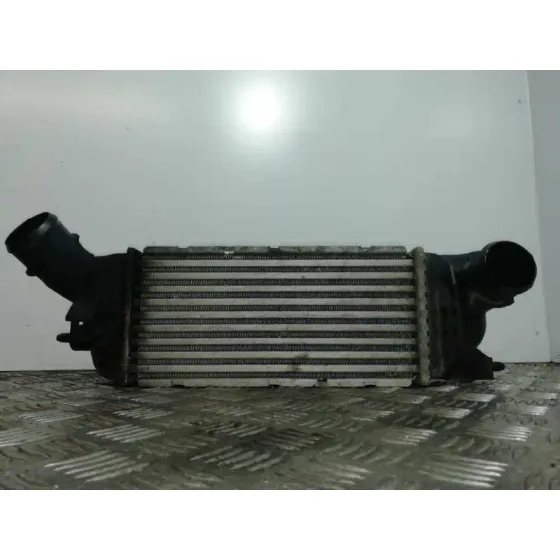 Intercooler para Peugeot 407