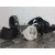 Cinturon Seguridad Delantero Izquierdo para Bmw Serie 3 Berlina (E90)