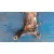 Puente Delantero para Volvo V40