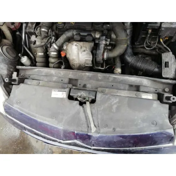 Panel Frontal para Citroën C4 Picasso