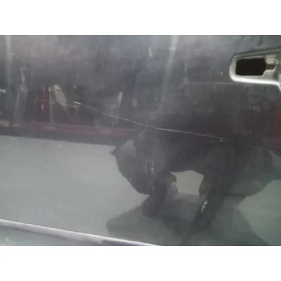 Puerta Delantera Izquierda para Citroën C4 Picasso