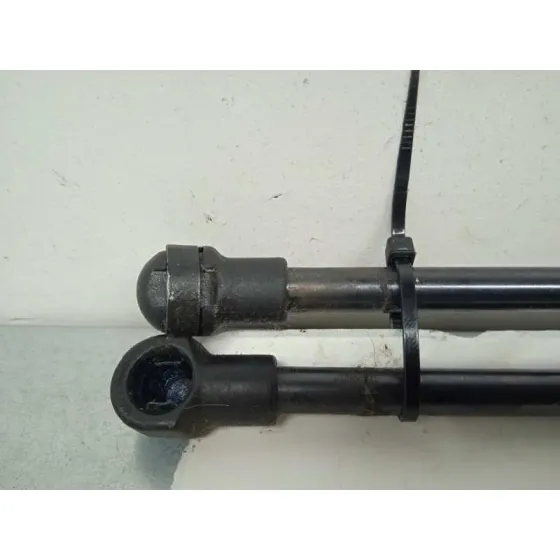 Amortiguadores Maletero / Porton para Renault Twingo