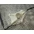 Elevalunas Delantero Derecho para Seat Leon St (5F8)