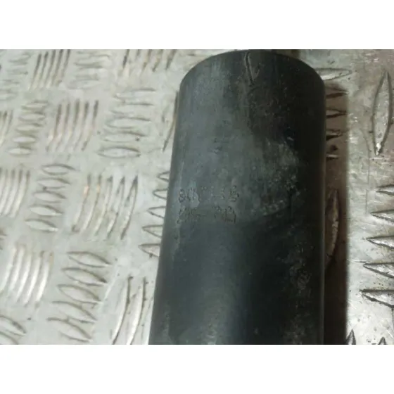 Amortiguador Trasero Izquierdo para Peugeot 207