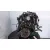 Despiece Motor para Renault Scenic (Ja..)