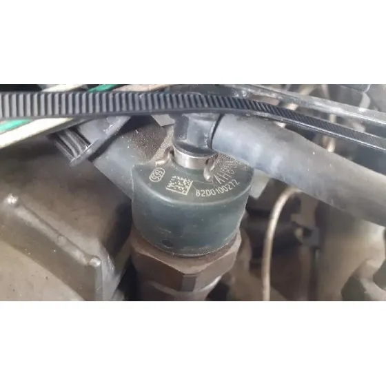 Despiece Motor para Renault Scenic (Ja..)