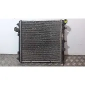 Radiador Agua para Citroën C3