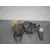 Kit Airbag para Toyota Prius (Nhw20)