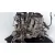 Despiece Motor para Ford Focus Berlina (Cap)