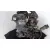 Despiece Motor para Ford Focus Berlina (Cap)