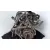 Despiece Motor para Ford Focus Berlina (Cap)