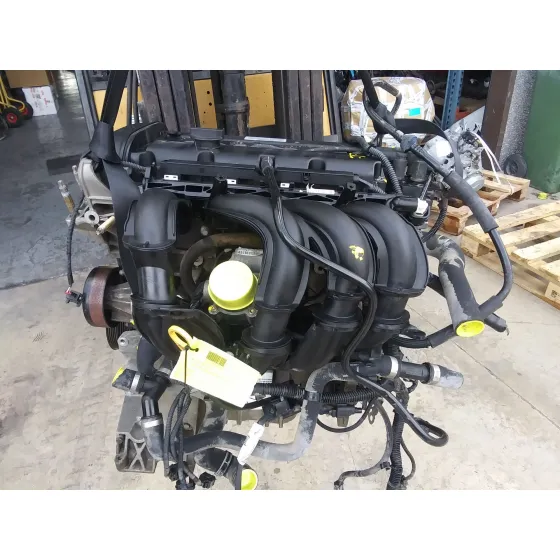 Despiece Motor para Ford Focus Berlina (Cap)