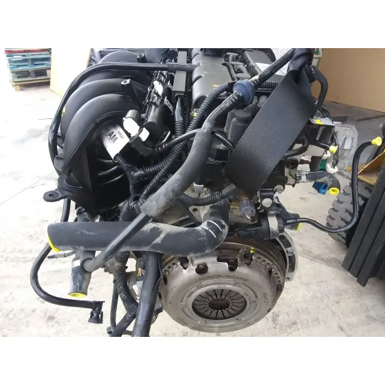 Despiece Motor para Ford Focus Berlina (Cap)
