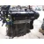 Despiece Motor para Ford Focus Berlina (Cap)