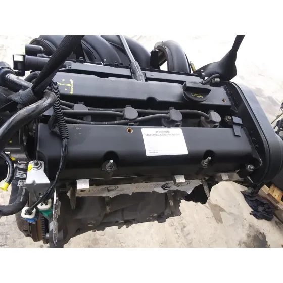 Despiece Motor para Ford Focus Berlina (Cap)