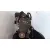 Despiece Motor para Nissan Almera (N16/E)
