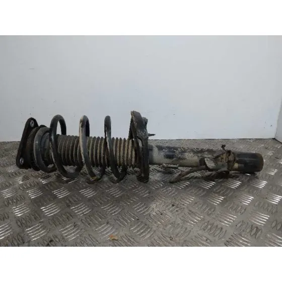 Amortiguador Delantero Izquierdo para Ford Kuga (Cbs)